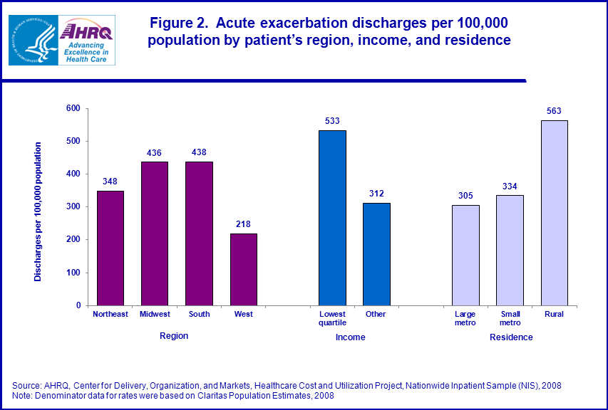 Figure 2 is a bar chart illustrating the acute exacerbation discharges per 100,000 population by patientâs region, income, and residence.