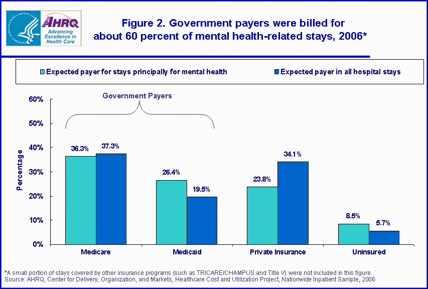 Figure 2.  Government payers were billed for about 60 percent of mental health-related stays, 2006