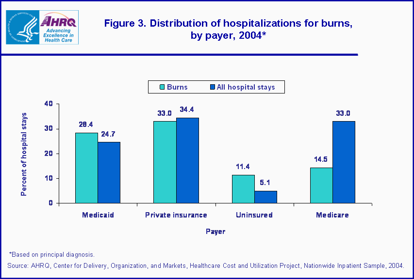 Figure 3. Bar chart showing distribution of hospitalizations for burns, by payer, 2004