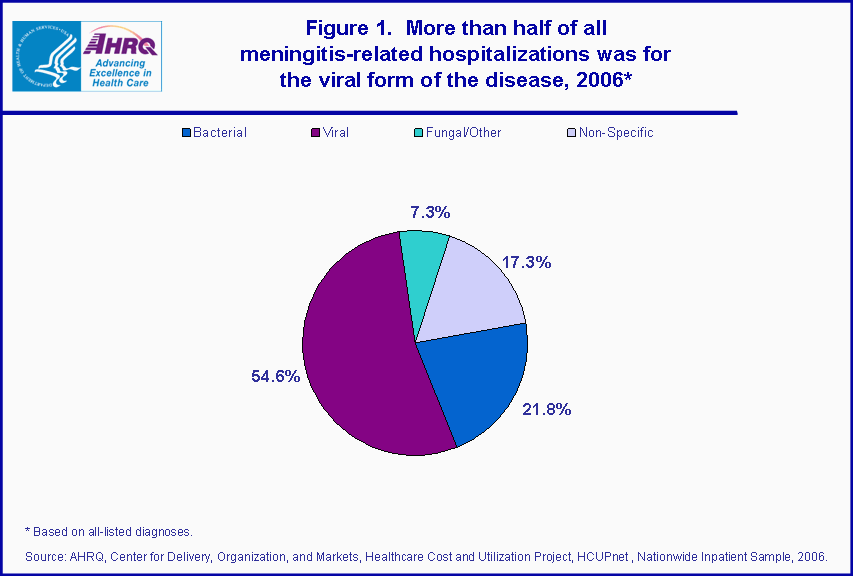 Figure 1. More than half of all meningitis-related hospitalizations was for the viral form of the disease, 2006